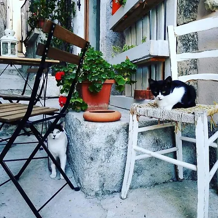 Frühstückspension L'armonica Di Nonnosandro 3*