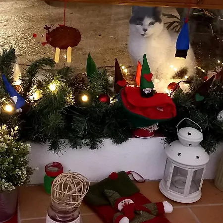 Frühstückspension L'armonica Di Nonnosandro Corfinio