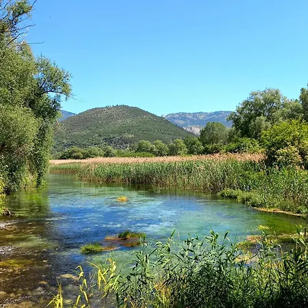 L'armonica Di Nonnosandro Corfinio