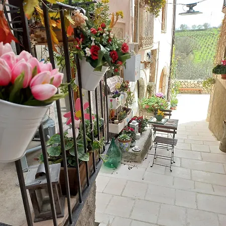 L'armonica Di Nonnosandro לינה וארוחת בוקר 3*