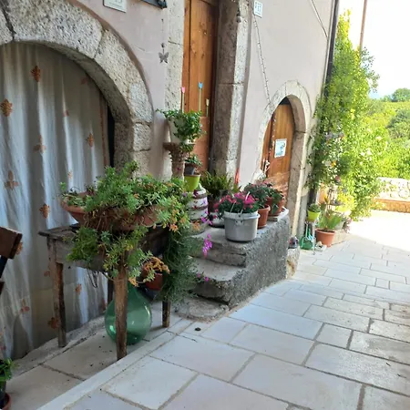 L'armonica Di Nonno Sandro 3*
