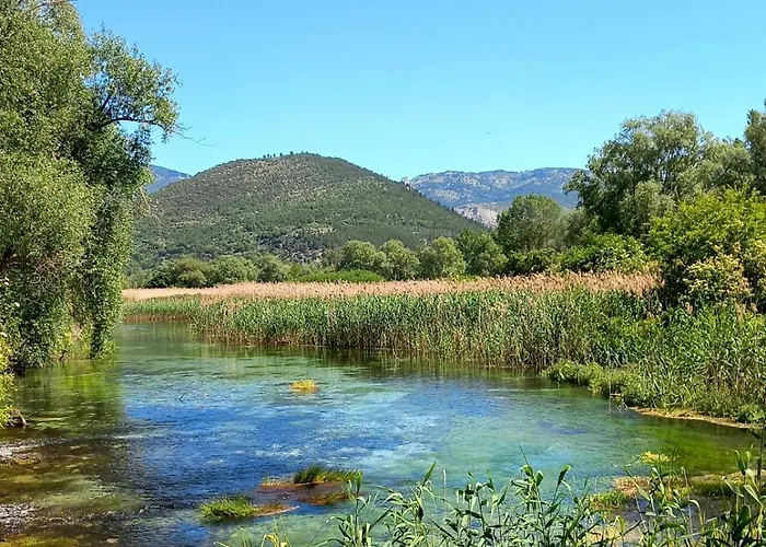 L'armonica Di Nonno Sandro Corfinio