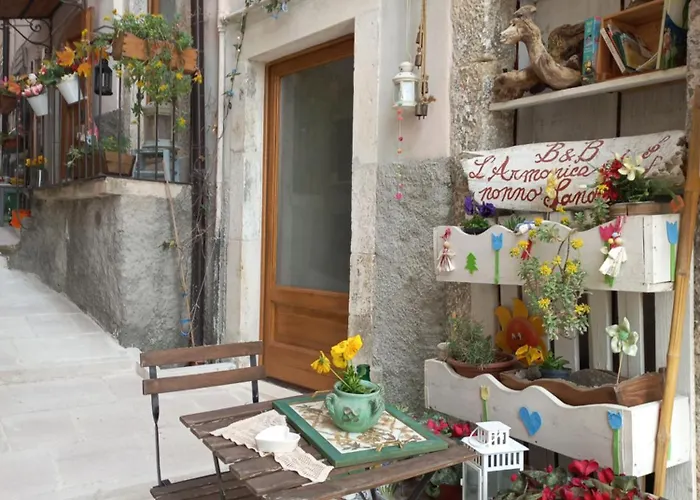 L'armonica Di Nonno Sandro 3* Corfinio